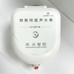 Hoogprecisie messing LCD-display IP68 bescherming waterstroommeter DC24V Lorawan LORA M-bus RS485 puls ultrasone OEM - Product Image 2