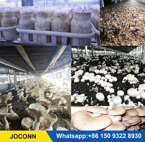 Botón de cría de setas, control de clima, invernadero, <span class=keywords><strong>shiitake</strong></span>, hongo reishi, cámara de fructificación, habitación, aire acondicionado boletus - Product Image 4