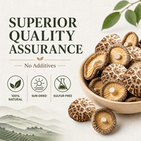 Jamur Shiitake Kering Premium Grosir, Jamur Bunga Putih, Jamur Donko Kering Daging Tebal untuk Penggunaan Kuliner