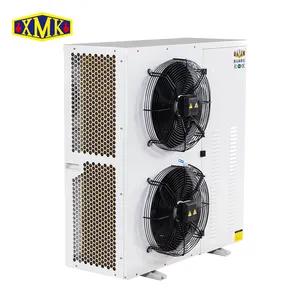 Alta qualità tipo di scatola unità di condensazione 10HP Copeland bassa temperatura-18 gradi unità di condensazione con compressore di scorrimento