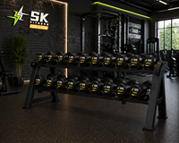 Support de Rangement Commercial SK à 2 Niveaux pour Haltères, en Acier Q235 de 3,0 mm, pour Équipement de Musculation Professionnel en Salle de Sport