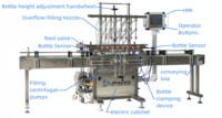 Machine de capsulage de remplissage de bouteilles d'alcool de capacité automatique 200ml 750ml d'approvisionnement d'usine