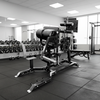 Chaise romaine en acier commercial pour musculation, entraînement de force, multifonctionnelle, pour les jambes et le dos, banc d'hyperextension inversée pour les fessiers