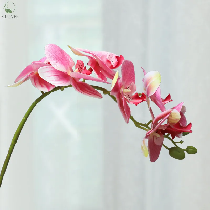 Large hand-feel Phalaenopsis amabilis Moth orchid Orchid Stems Artificial silk plants Butterfly Orchid Flower