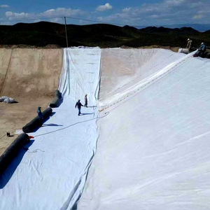 HDPE <span class=keywords><strong>geomembrane</strong></span> Composite lót không dệt vải địa kỹ thuật <span class=keywords><strong>Pond</strong></span> <span class=keywords><strong>Liner</strong></span> cho bãi rác lót ứng dụng - Product Image 5