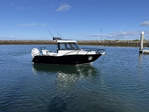 <span class=keywords><strong>Barco</strong></span> de Pesca de Aluminio de Lujo con Cabina Abierta Personalizada Profisher de 6 m (20 pies) con Motor Fuera de Borda - Product Image 2