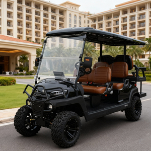 Carrito de Golf de Lujo con Asientos, Batería de Litio con Certificación CE, Motor de CA de 5KW, Color Personalizable, en Venta - Product Image 1
