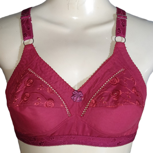 Minimalist Cotton <b>Bra</b> Set With Light Padding Smooth Cups And Matching Briefs In Organic Cotton For Everyday Simplicity - Product Image 3