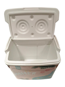 Venta al por mayor de fábrica de enfriador de cajas de hielo de 17L con logotipo personalizado para acampar, pescar, viajar - Product Image 2