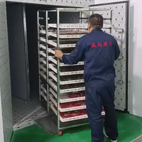 Équipement professionnel de séchage de feuilles, déshydrateur industriel d'herbes, machine de séchage de piment, meilleur prix