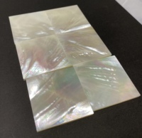 Original Hersteller Preis Big Size 24 mmX24mmX3mm Quadrat Natur weiß Perlmutt
