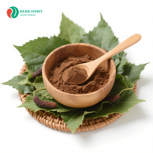 Herbspirit Bulk Supply Mulberry Leaf <strong>Extract</strong> <strong>Powder</strong> - Product Image 1