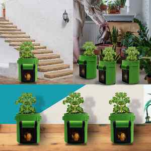 Sacs de culture en tissu non tissé épaissis de 5 gallons avec fenêtre de visualisation et poignées robustes pour légumes et fleurs - Product Image 5