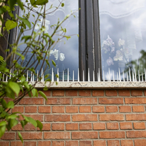 Piques de clôture extensibles en plastique solide <span class=keywords><strong>anti</strong></span>-oiseaux, écologiques et inoffensives pour éloigner les <span class=keywords><strong>pigeons</strong></span> et les ratons laveurs - Product Image 6