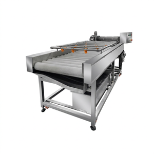 Multi Functional <b>Fruit</b> <b>Processing</b> Equipment Peach Cucumber Medjool Date Seed Washing <b>Machine</b> for Medjool Dates - Product Image 1