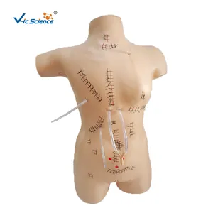 Modèle de formation de clinique médicale avancée modèle de Bandage de Suture chirurgicale