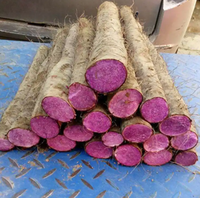 Poudre d'igname violette biologique Ube des Philippines en vrac, qualité alimentaire USDA, durée de conservation de 24 mois, OEM/ODM, marque privée, pour boissons