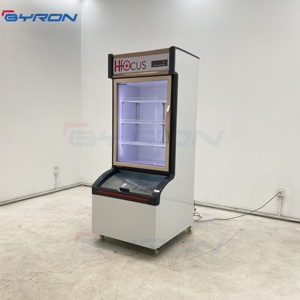 Byron hiển thị đứng Tủ đông cửa hàng tiện lợi tủ lạnh mẹ và con trai Tủ đông thương mại Tủ đông lạnh dọc - Product Image 6