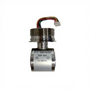 Capteur de pression RKS Chine avec haute précision et compensation de température, protection IP65 - Product Image 3