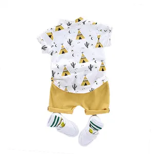 2020 spring and summer foreign trade children's clothing boys pyramid cactus short sleeve shorts two-piece suit