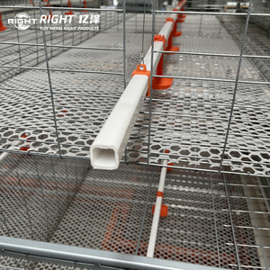 Jaula Automática Tipo H para Pollos <span class=keywords><strong>de</strong></span> Engorde YIZE, Jaula para Cría <span class=keywords><strong>de</strong></span> Aves <span class=keywords><strong>de</strong></span> Corral, Jaula para 5000 Pollos <span class=keywords><strong>de</strong></span> Engorde - Product Image 4