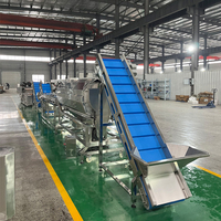 Volledig automatische productielijn voor diepvriesfrieten en groente-/fruitfriet, grote capaciteit aardappelchipsmachinegroep