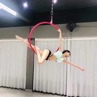 Anneau de yoga aérien pivotant en acier inoxydable à une seule oreille, longueur réglable (80/85/90/95 cm) pour la danse sur barre et la gymnastique