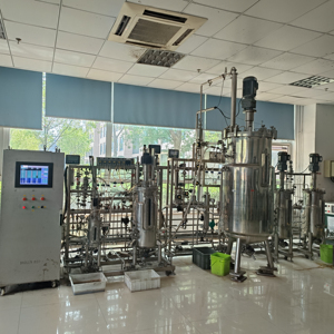 5-50-500L Três Estágio Aços inoxidáveis Mecânica Agitando Bioreactor BLBIO 5-50-500SJA Laboratório Industrial Fermentação tanque - Product Image 2