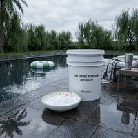 E20260812 Poudre chimique fiable à 90 % de pureté pour un traitement efficace de l'eau de piscine
