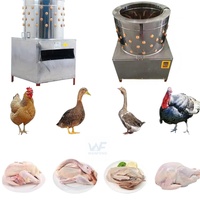 Nouvelle machine à plumer la volaille motorisée en acier inoxydable / Plumeuse à tambour pour poulets, cailles et pigeons, usage domestique, capacité 600 oiseaux/heure