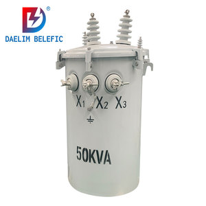 Csp 100 Kva 50kva Amorfe Enkele 2-fase Zekering Laspaal Mount Transformator Prijs - Product Image 4