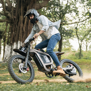 Motocicleta Eléctrica para Adultos de 72V 40ah con Batería Grande, Alta Velocidad de 90KMH y Largo Alcance de 200km, en Oferta - Product Image 1