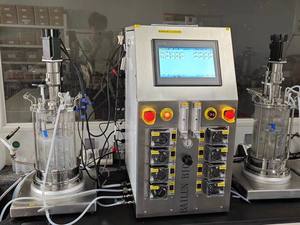 Biorreactor de Laboratorio BLBIO-XGC-2 para Cultivo Líquido, Tanque de Fermentación de Doble Vidrio con Agitación Magnética, Enzima Transglutaminasa, Amilasa - Product Image 4