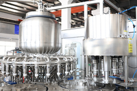 Machines de remplissage industrielles de qualité 3 en 1 pour nettoyage CIP de pasteurisation de bouteilles PET 8000BPH pour boissons non alcoolisées entièrement automatiques