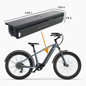 1000W Mountain Elektrik Elektrische Fiets Volwassen 500W E-Bike Mtb Geïntegreerde Batterij