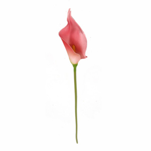 TALLO FLOR CALLA LILY DE 19 ", TALLO <span class=keywords><strong>VERDE</strong></span> [EF11082] - Product Image 2