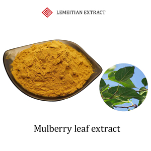 Mulberry Leaf Extract | DNJ 1% to 98% | Total Flavonoids 20% to 98% | Metabolic Wellness Support | Customizable Bulk Extract - Product Image 1
