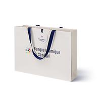 Sac en papier personnalisé écologique pour le shopping, pliable, couleur rose, impression de votre logo de marque, soins de la peau, parfum, cadeau, laminage, ruban