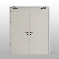 Porte coupe-feu en acier 60/120/180 Minutes Usine Porte en métal directement creuse avec dispositif de sortie de panique