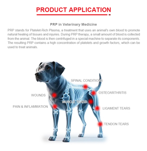 Thú Y-Ống <span class=keywords><strong>PRP</strong></span> SỨC MẠNH-Hỗ trợ lối sống năng động của con chó của bạn - Product Image 6