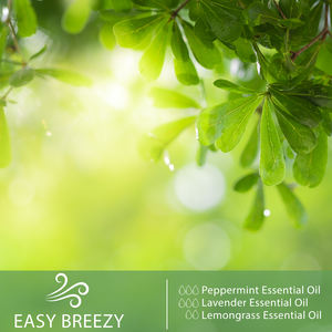 100ml ätherisches Pfefferminz öl Großhandel 100% reines natürliches ätherisches Pflanzenöl für Aroma diffusor - Product Image 3