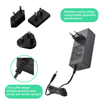 AC 100-240V DC 12V 24V güç duvar adaptörü 12V 5A 60W 65W PC malzeme güç kaynağı için LED ışık & CCTV amplifikatör
