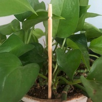 Étiquettes de plantes en bambou écologiques sur mesure, étiquettes en bois biodégradables, bâtonnets pour jardin, patio, extérieur, intérieur