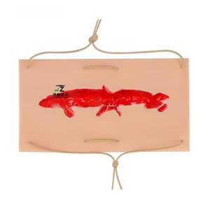 Modelo de Simulación de Laceración Profunda o Herida por Puñalada en Silicona, Módulo de Práctica de Sutura Quirúrgica - Product Image 1