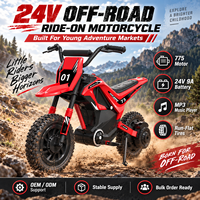 Moto électrique pour enfants haute puissance 24V, grande taille, tout-terrain, avec freins à disque et pneus anti-crevaison