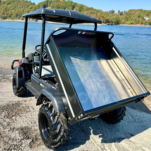 Beemotor 48V 2-Seater Street Golf Cart for Adults High Traction Utility Vehicle With Golf Cars New 4x4 Golf Cart for Sa - Product Image 1