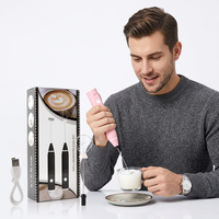 Mousseur à lait électrique portatif rechargeable par USB, en acier inoxydable, design écologique, pour café, thé, cappuccino, matcha