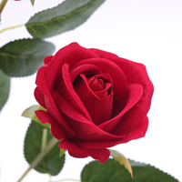 Bulk Florals Hochwertige 5 Köpfe Künstliche Single Real Touch Samt Rote Rose Blume für Hochzeits dekoration