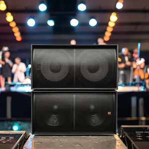Subwoofer dual de 18 pulgadas Big <span class=keywords><strong>DJ</strong></span> Bass Woofer Speaker Equipo de audio profesional - Product Image 3