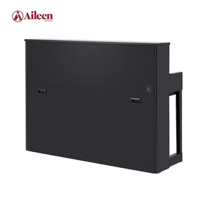 DP9001Best Price <span class=keywords><strong>Teclado</strong></span> <span class=keywords><strong>de</strong></span> acción <span class=keywords><strong>de</strong></span> martillo ponderado graduado <span class=keywords><strong>Piano</strong></span> digital híbrido <span class=keywords><strong>de</strong></span> 88 teclas - Product Image 3